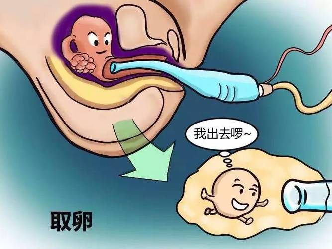 供卵试管代怀的女人_供卵试管代怀：女性力量的故事
