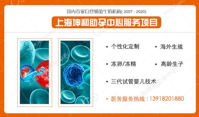 供卵试管代怀公司(供卵试管代怀公司:助您实现梦想)